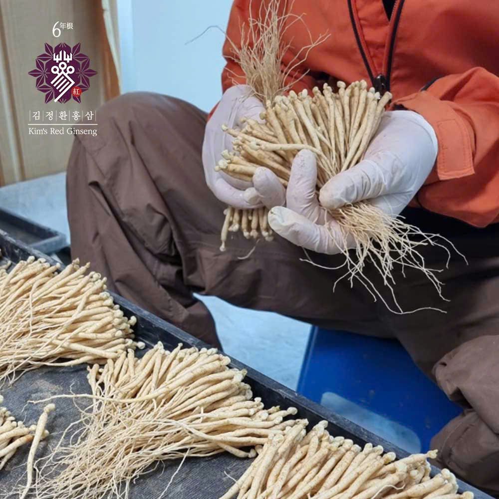 Quy trình kiểm soát chất lượng hồng sâm Kim's Red Ginseng nghiêm ngặt | Minh Phượng Korea