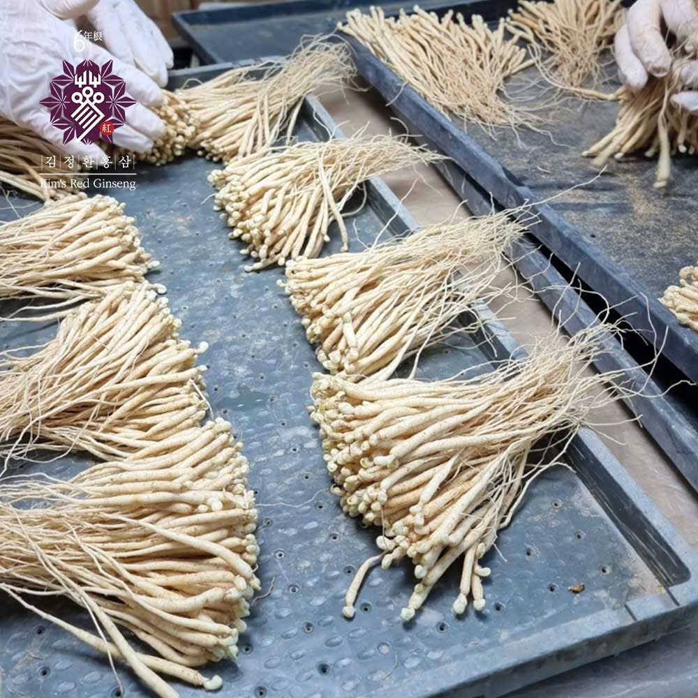 Vườn trồng nhân sâm 6 năm tuổi Hàn Quốc của Kim's Red Ginseng tại Punggi, Bắc Gyeongsang