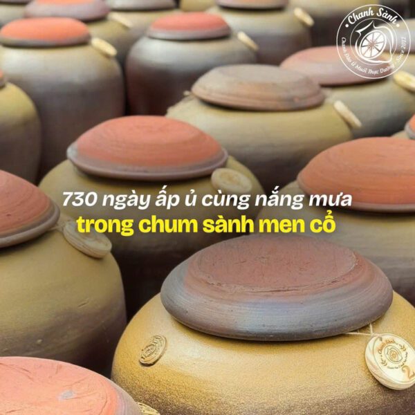 730 chanh ngâm trong bình gốm Các chum sành đậy nắp trong khu vực ủ chanh