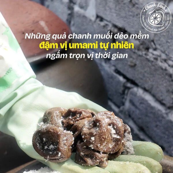 Chanh muối dẻo, vị umami Hai quả chanh muối dẻo được cầm trên tay