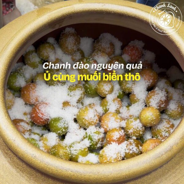 Hình Chanh Sành ướp muối Chanh đào nguyên quả được ủ với muối trong chum