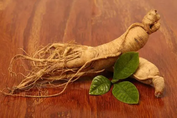 Tác dụng hồng sâm Hàn Quốc Kim's Red Ginseng đối với sức khỏe | Minh Phượng Korea